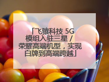 飞骧科技 5G 模组入驻三星 / 荣耀高端机型，实现白牌到高端跨越