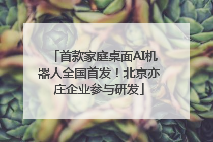 首款家庭桌面AI机器人全国首发！北京亦庄企业参与研发