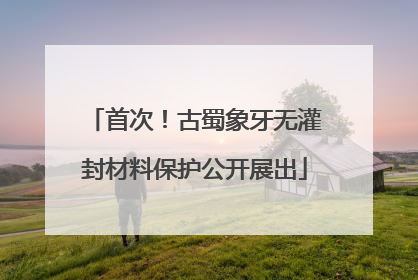 首次！古蜀象牙无灌封材料保护公开展出
