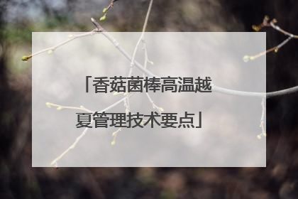 香菇菌棒高温越夏管理技术要点