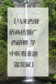 马来西亚侨商侨领广西研修 学中医看非遗谋发展