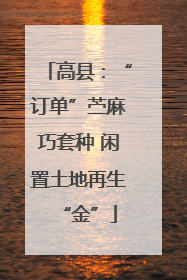 高县：“订单”苎麻巧套种 闲置土地再生“金”