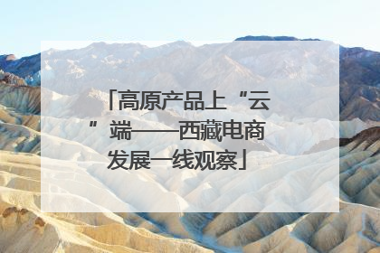 高原产品上“云”端——西藏电商发展一线观察