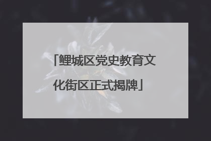 鲤城区党史教育文化街区正式揭牌