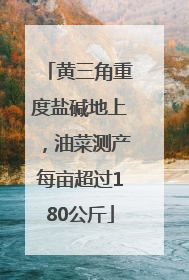 黄三角重度盐碱地上，油菜测产每亩超过180公斤