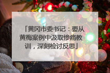 黄冈市委书记：要从黄梅案例中汲取惨痛教训，深刻检讨反思