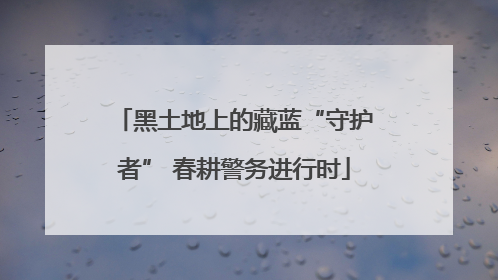 黑土地上的藏蓝“守护者” 春耕警务进行时