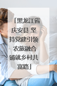黑龙江省庆安县 坚持党建引领 农旅融合铺就乡村共富路