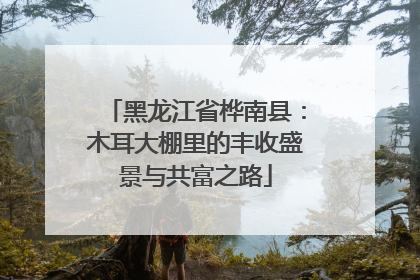 黑龙江省桦南县：木耳大棚里的丰收盛景与共富之路