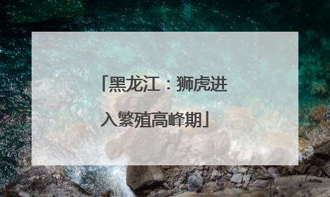 黑龙江：狮虎进入繁殖高峰期