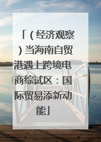 （经济观察）当海南自贸港遇上跨境电商综试区：国际贸易添新动能