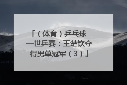 （体育）乒乓球——世乒赛：王楚钦夺得男单冠军（3）