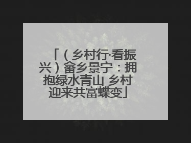 （乡村行·看振兴）畲乡景宁：拥抱绿水青山 乡村迎来共富蝶变