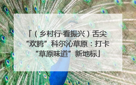（乡村行·看振兴）舌尖“欢腾”科尔沁草原：打卡“草原味道”新地标