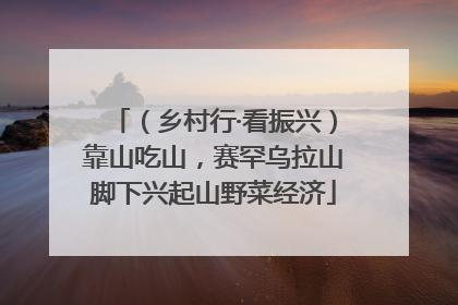 （乡村行·看振兴）靠山吃山，赛罕乌拉山脚下兴起山野菜经济