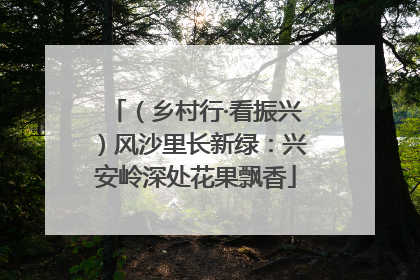 （乡村行·看振兴）风沙里长新绿：兴安岭深处花果飘香