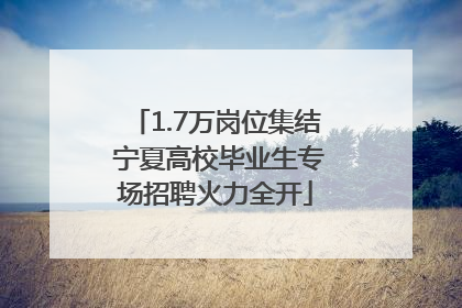1.7万岗位集结 宁夏高校毕业生专场招聘火力全开