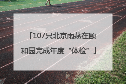 107只北京雨燕在颐和园完成年度“体检”