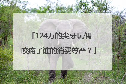 124万的尖牙玩偶 咬痛了谁的消费尊严？