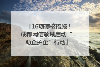 16项硬核措施！成都网信领域启动“助企护企”行动