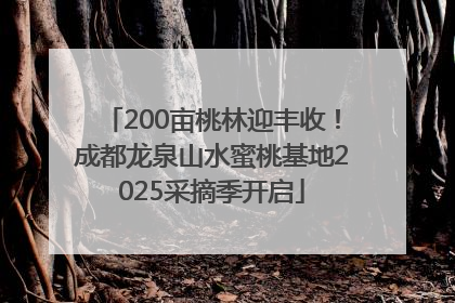 200亩桃林迎丰收！成都龙泉山水蜜桃基地2025采摘季开启
