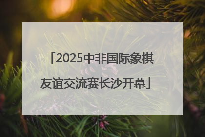 2025中非国际象棋友谊交流赛长沙开幕