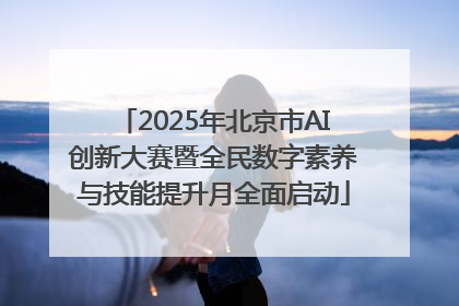 2025年北京市AI创新大赛暨全民数字素养与技能提升月全面启动