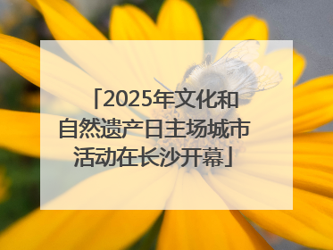 2025年文化和自然遗产日主场城市活动在长沙开幕