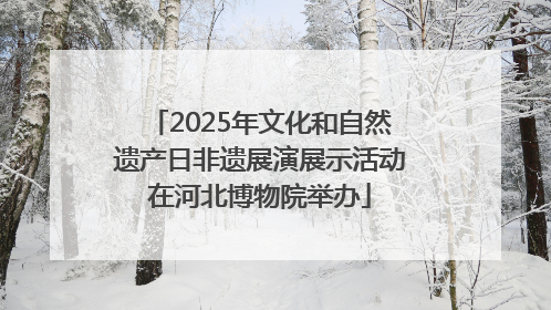 2025年文化和自然遗产日非遗展演展示活动在河北博物院举办