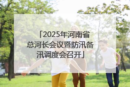 2025年河南省总河长会议暨防汛备汛调度会召开