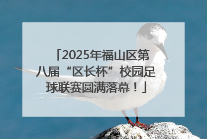 2025年福山区第八届“区长杯”校园足球联赛圆满落幕！