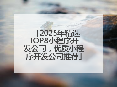 2025年精选TOP8小程序开发公司，优质小程序开发公司推荐