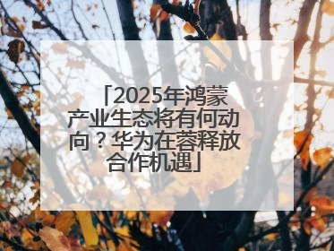 2025年鸿蒙产业生态将有何动向？华为在蓉释放合作机遇