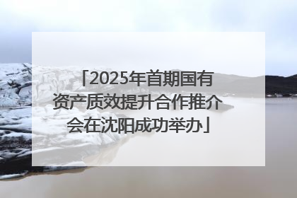 2025年首期国有资产质效提升合作推介会在沈阳成功举办