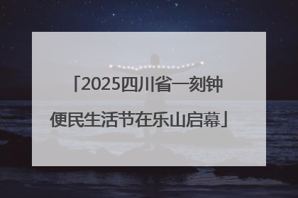 2025四川省一刻钟便民生活节在乐山启幕