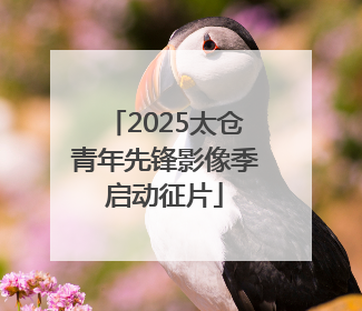 2025太仓青年先锋影像季启动征片