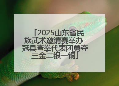 2025山东省民族武术邀请赛举办 冠县查拳代表团勇夺三金二银一铜