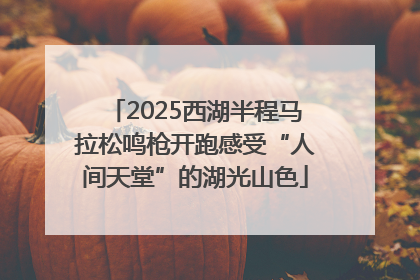 2025西湖半程马拉松鸣枪开跑感受“人间天堂”的湖光山色