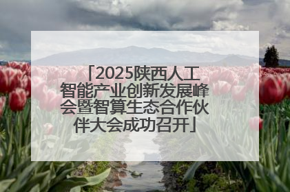 2025陕西人工智能产业创新发展峰会暨智算生态合作伙伴大会成功召开