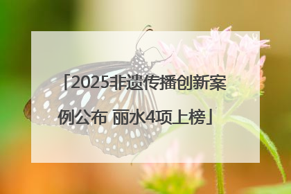 2025非遗传播创新案例公布 丽水4项上榜