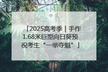 2025高考季｜手作1.68米巨型向日葵预祝考生“一举夺魁”
