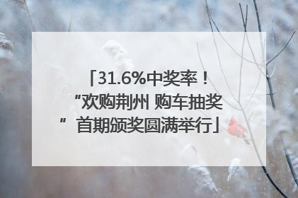 31.6%中奖率！“欢购荆州 购车抽奖”首期颁奖圆满举行