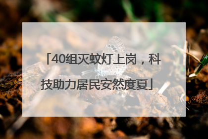 40组灭蚊灯上岗，科技助力居民安然度夏
