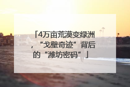 4万亩荒漠变绿洲，“戈壁奇迹”背后的“潍坊密码”