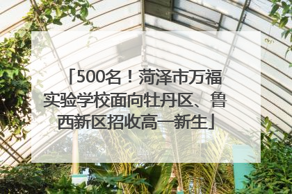 500名！菏泽市万福实验学校面向牡丹区、鲁西新区招收高一新生