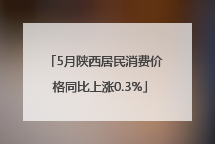5月陕西居民消费价格同比上涨0.3%