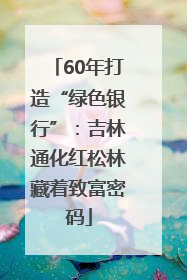 60年打造“绿色银行”：吉林通化红松林藏着致富密码
