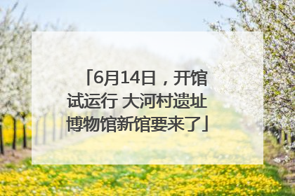6月14日，开馆试运行 大河村遗址博物馆新馆要来了