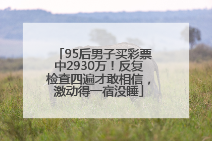 95后男子买彩票中2930万！反复检查四遍才敢相信，激动得一宿没睡