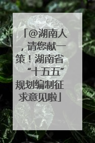 @湖南人，请您献一策！湖南省“十五五”规划编制征求意见啦